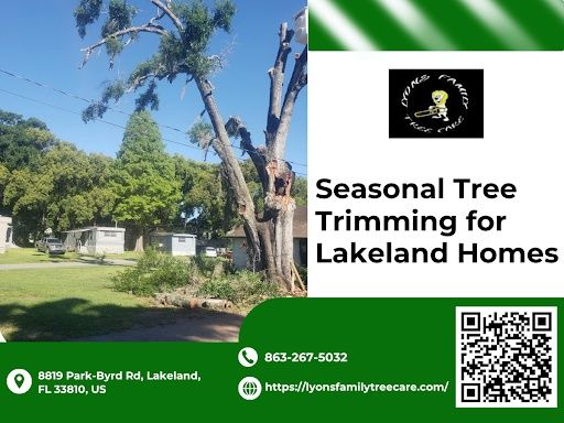 Tree Trimming