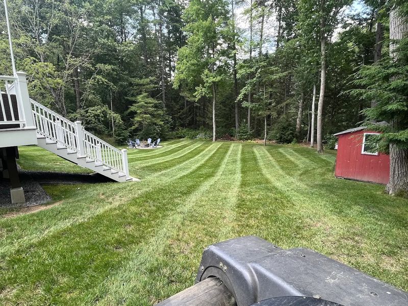 Lawn Repair and Expansions