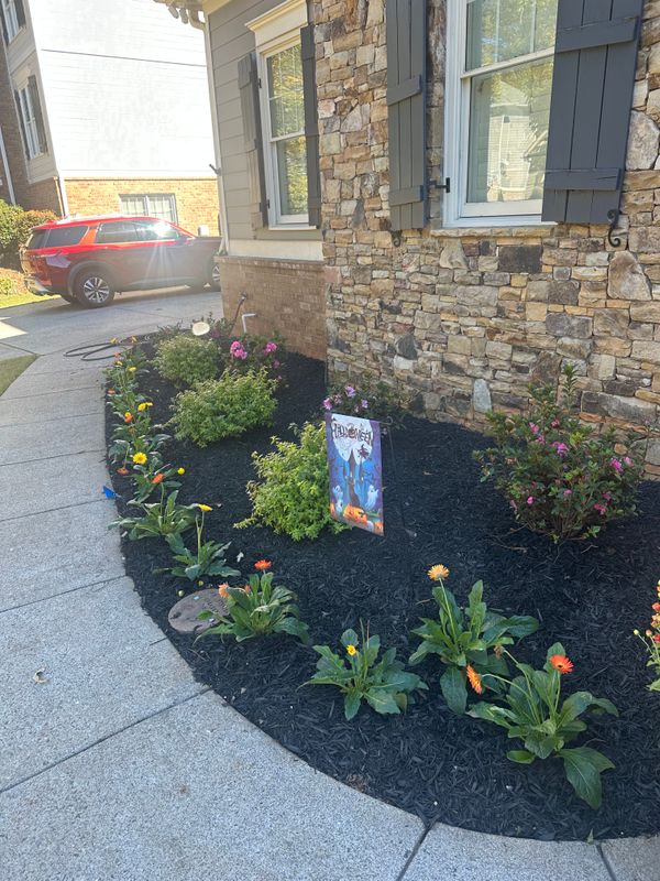 Landscape Design and Installation