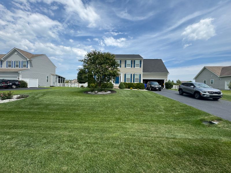 Lawn Mowing & Maintenance