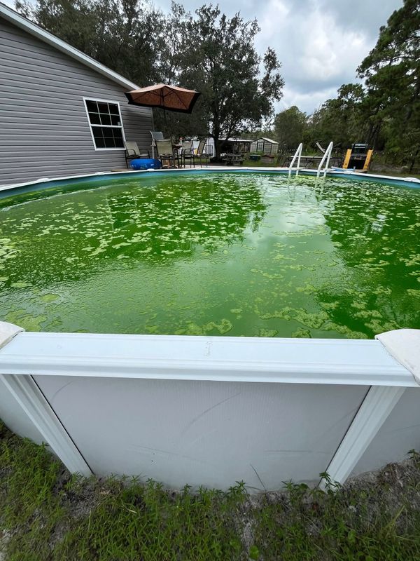 Pool Maintenance gallery