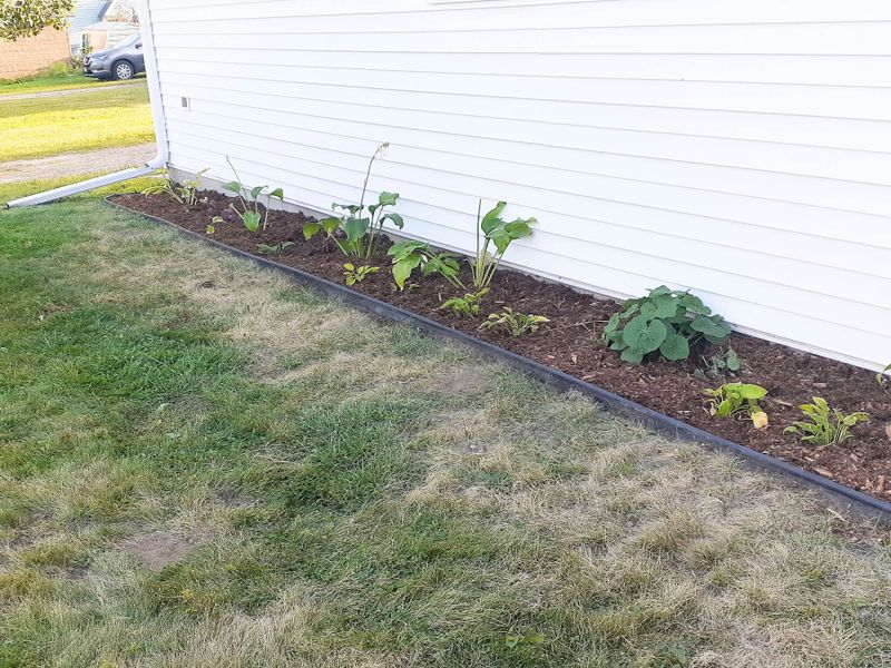 Landscape Design