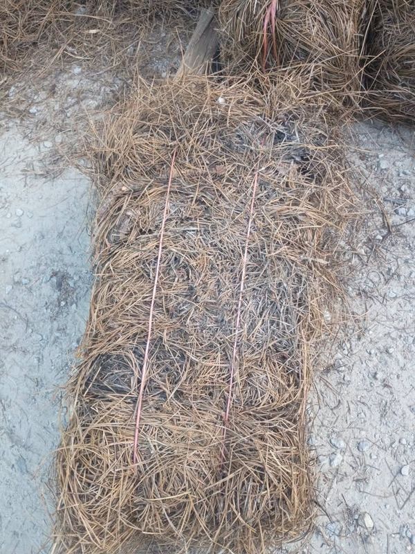 Pinestraw Installation