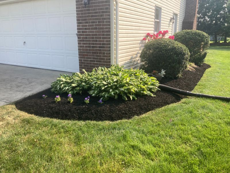 Landscape Design