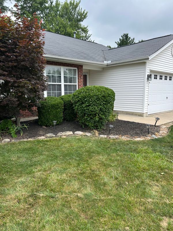 Shrub & Tree Trimming