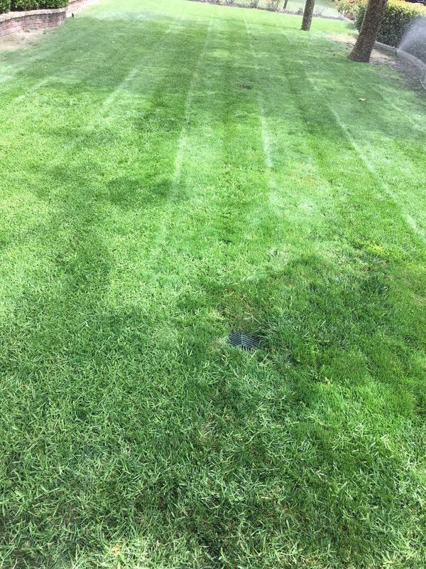 Mowing