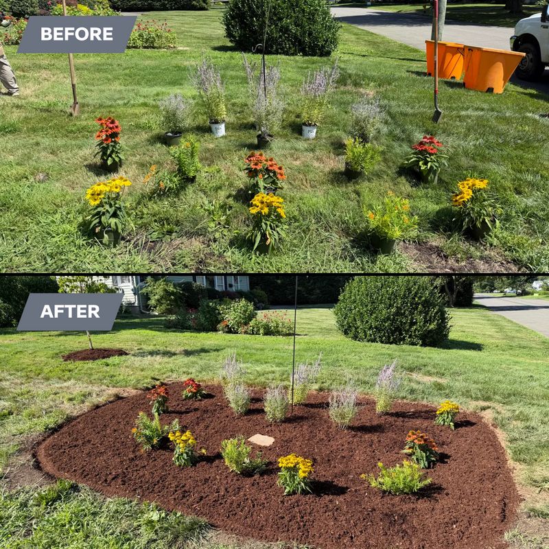 Landscape Design