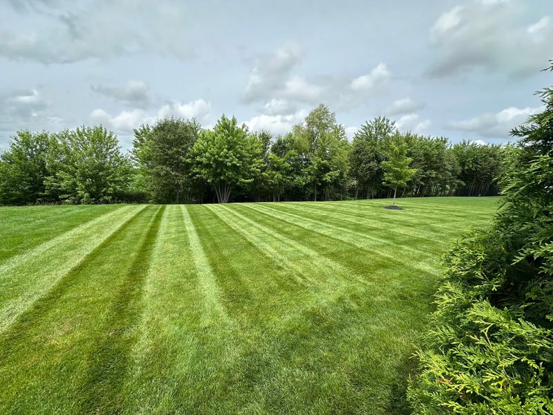 Lawn Fertilization
