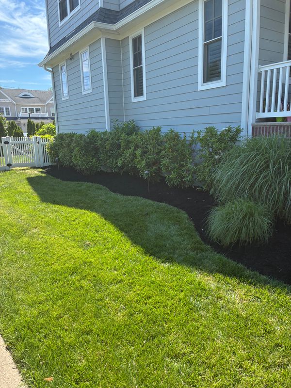 Lawn Maintenance
