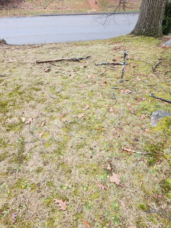 Spring & Fall Cleanups