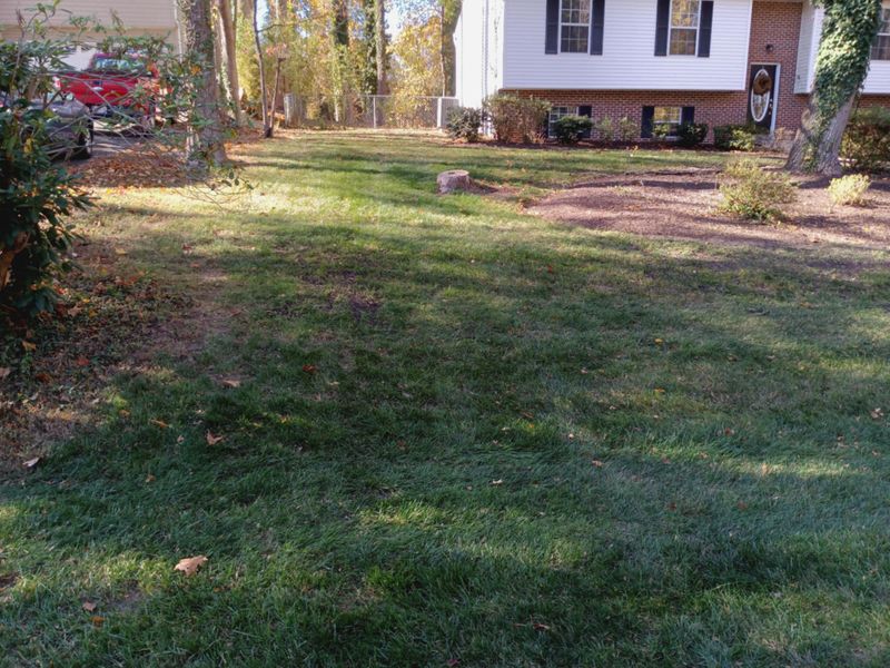 Leaf and Fall Cleanup