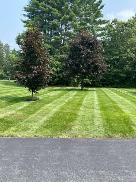 Mowing