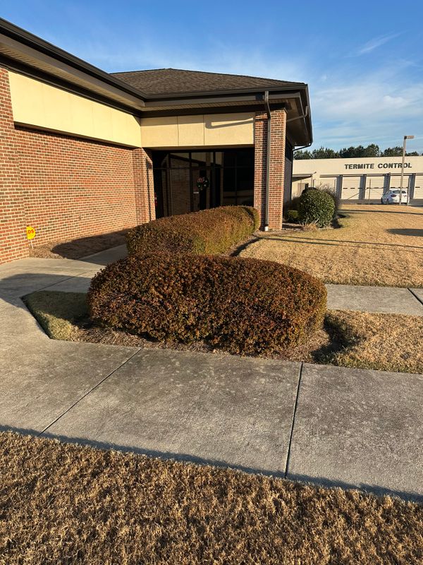 Tree & Shrub Care