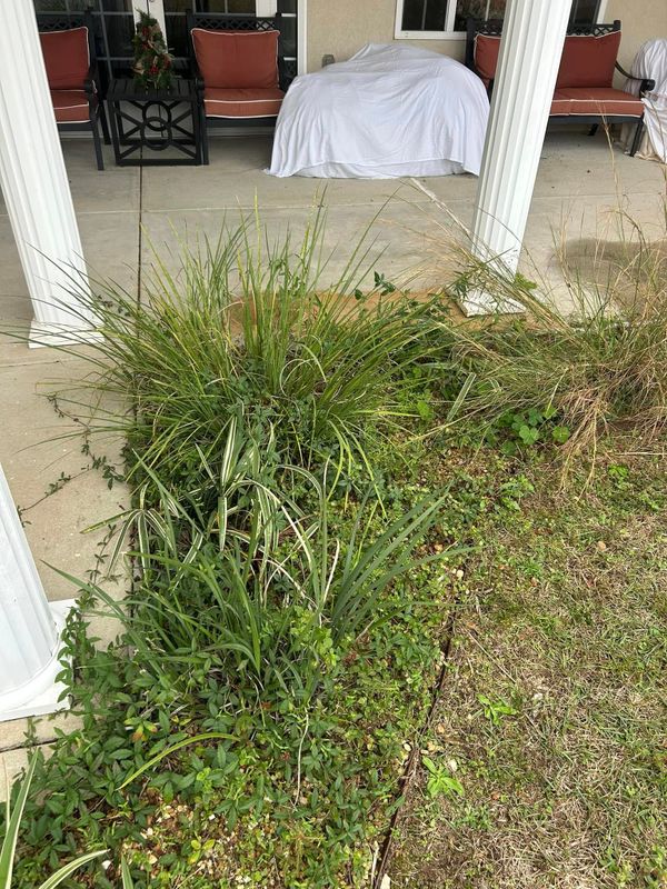 Garden Design