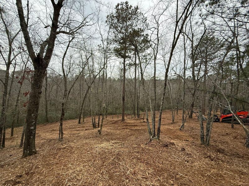 Land Clearing & Demolition