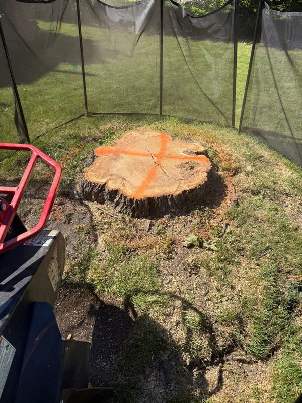 Stump Removal