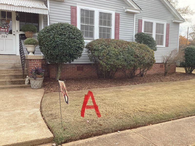 Shrub Trimming
