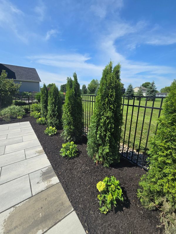 Planting & Pruning