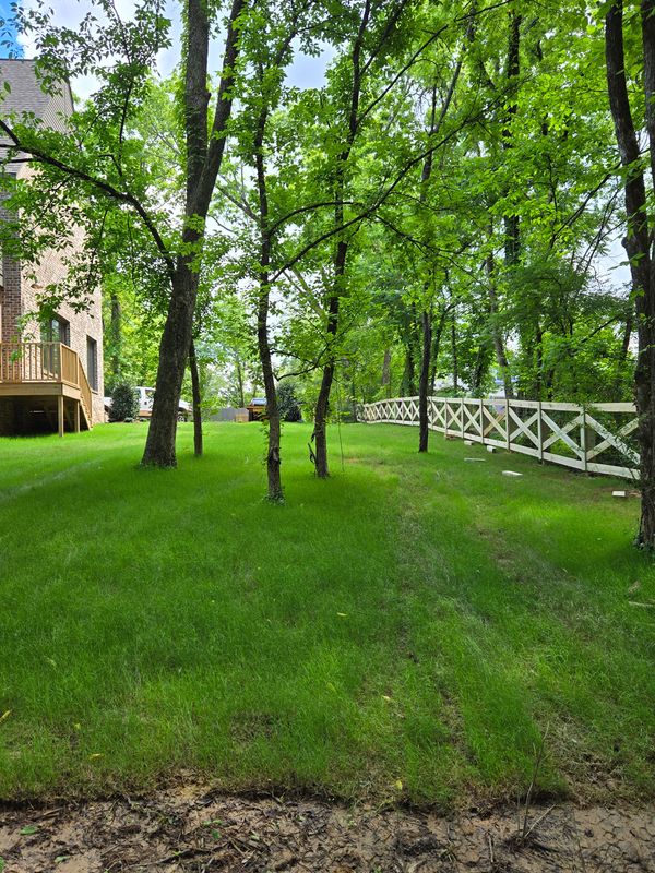 Ranch/ Farm fence