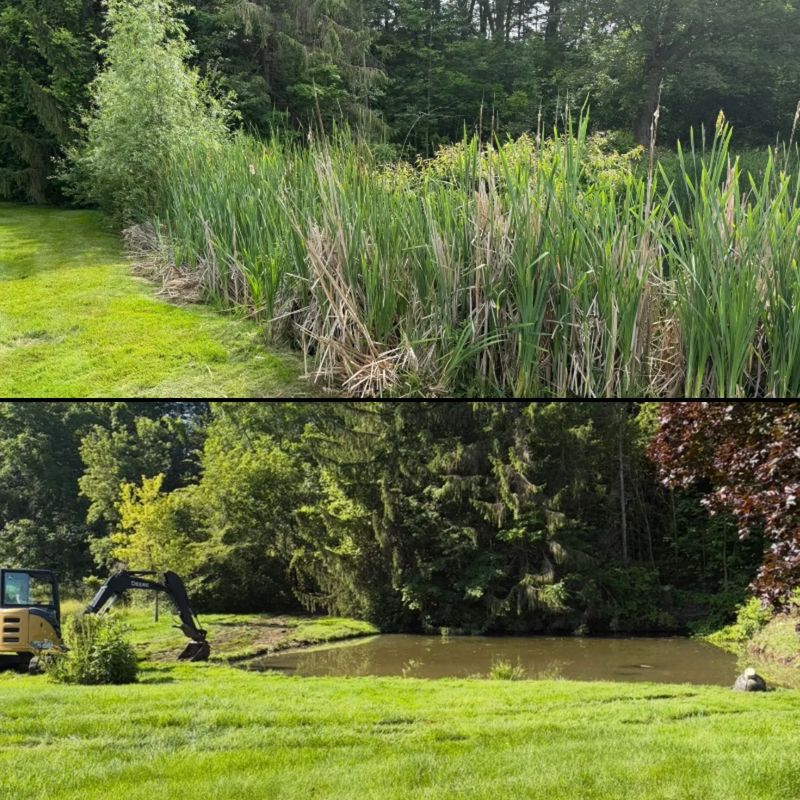 Land Services