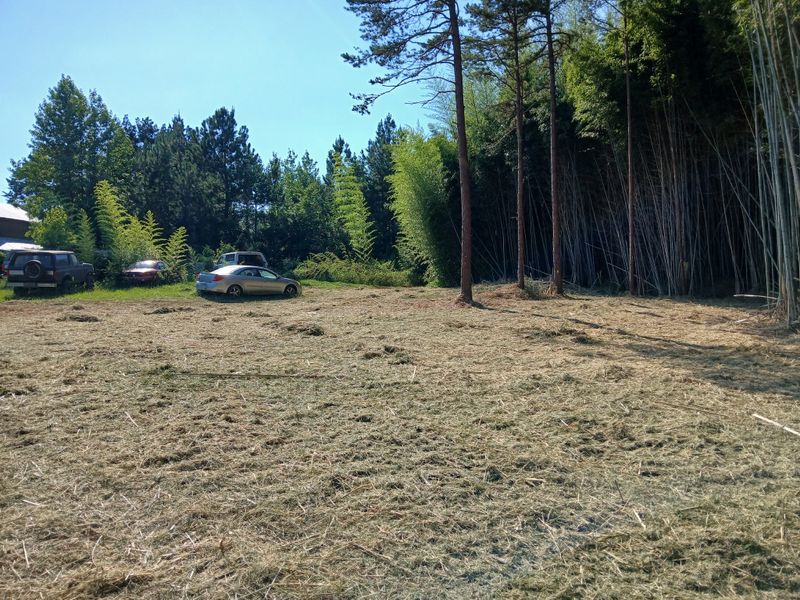 Forestry Mulching