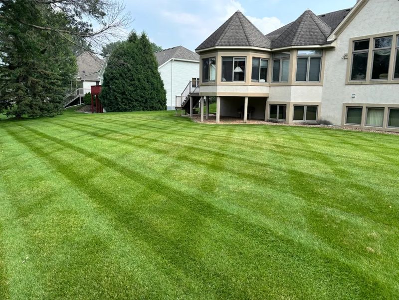 Lawn Mowing