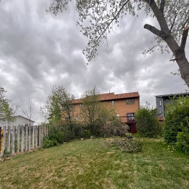 Shrub Trimming