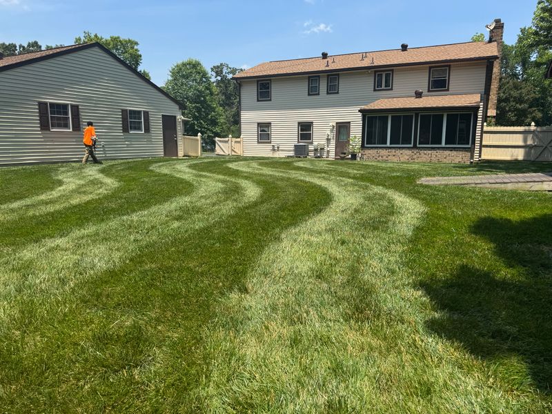 Mowing