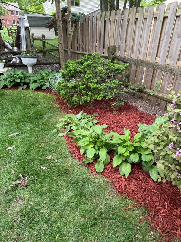 Garden Designs