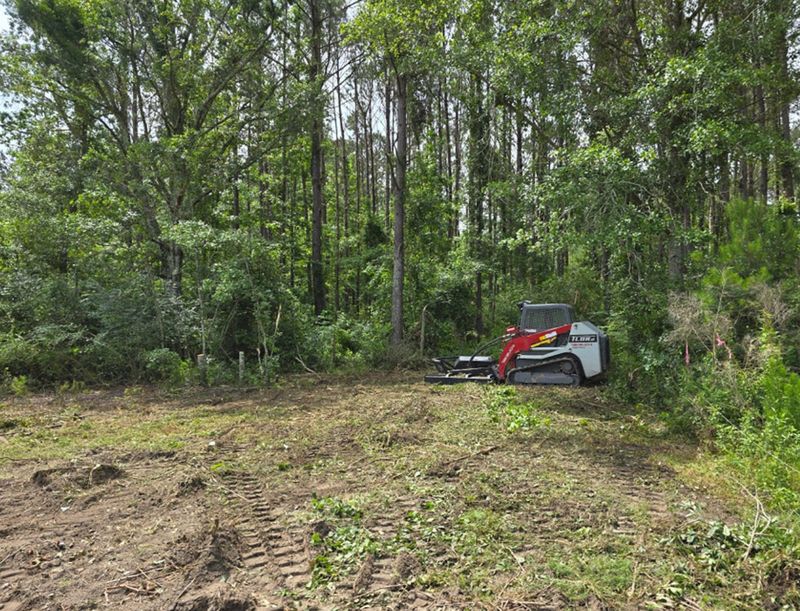 Land Clearing