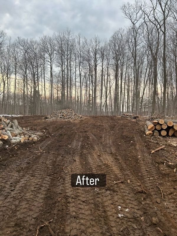Land Clearing and Site Preparation