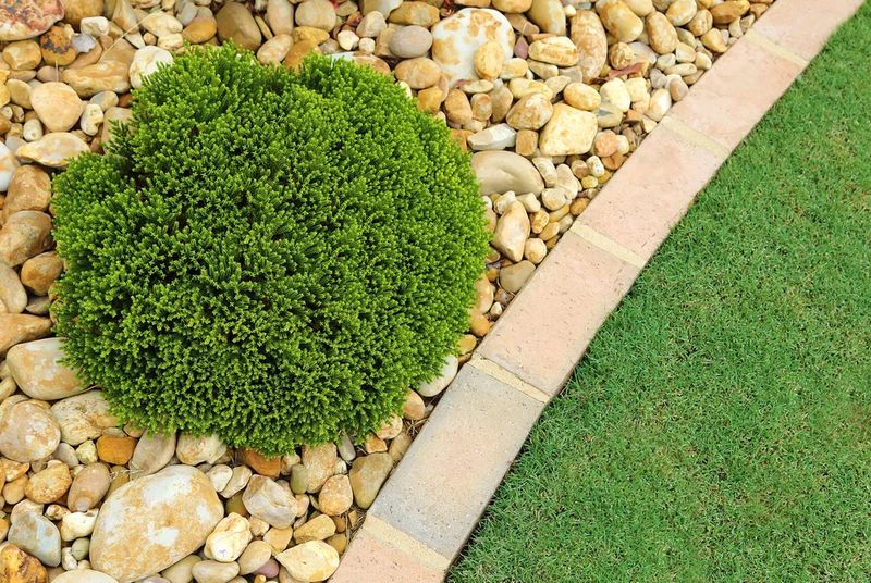 Landscape Design and Installation