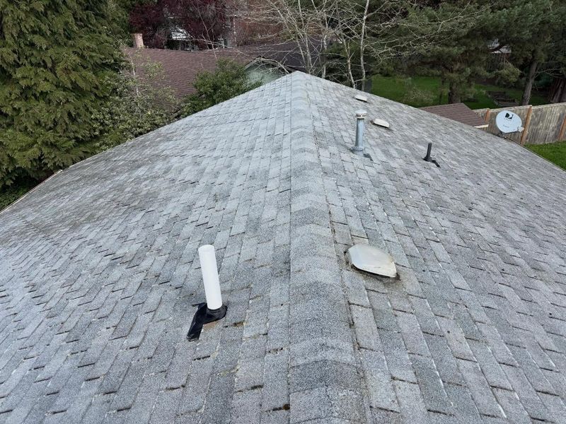 Gutter Cleaning gallery