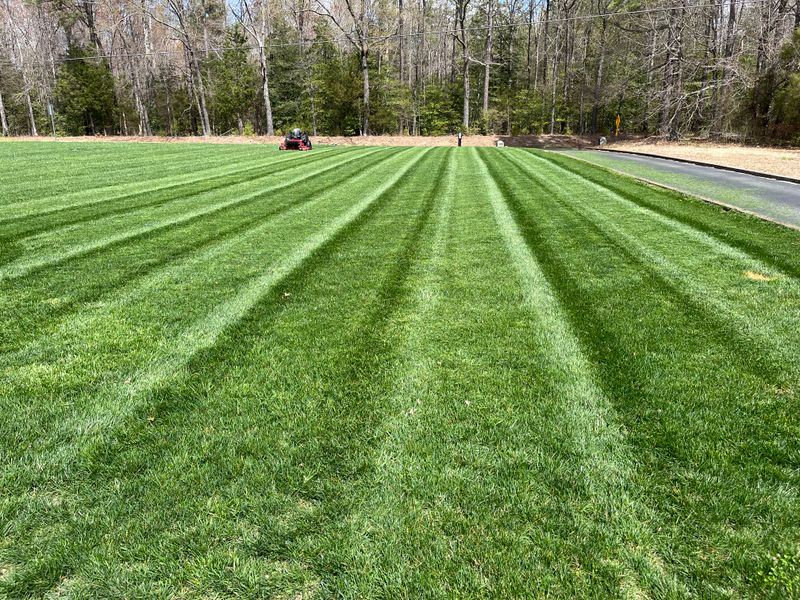Lawn Care