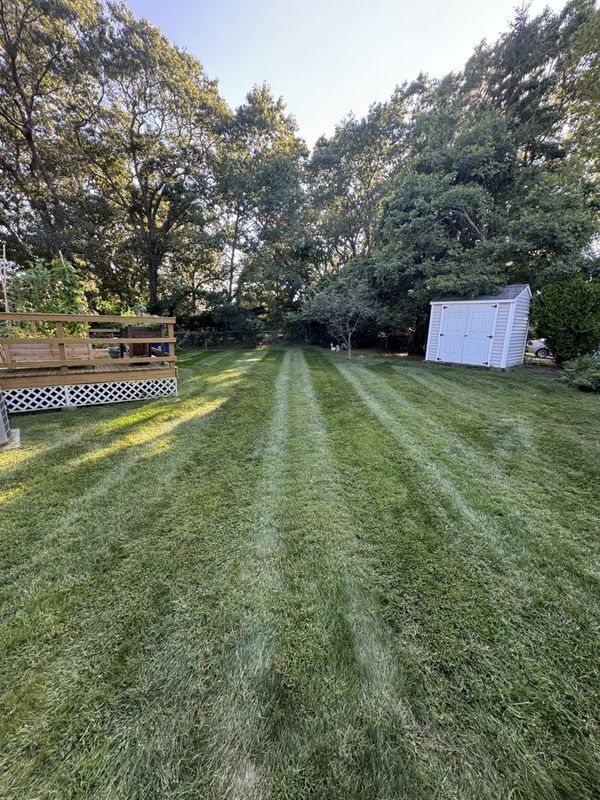 Lawn Mowing