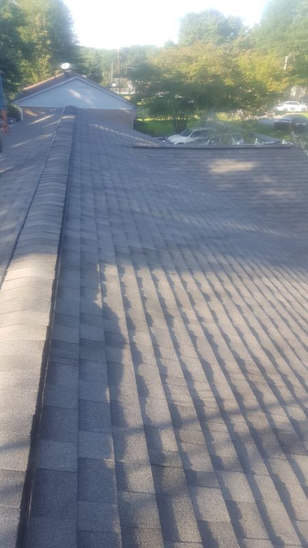 Roof & Water Damage
