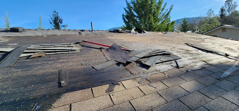 Shingle Roofing