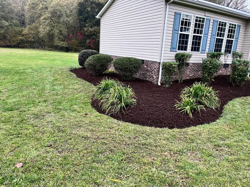 Lawn Maintenance