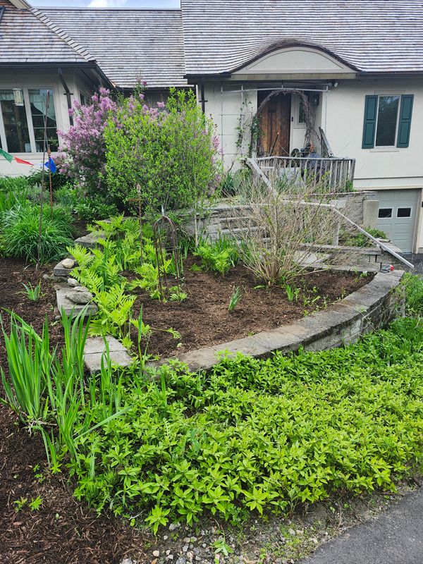 Patio Design & Construction