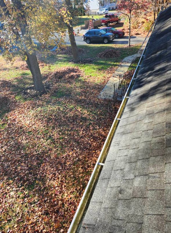 Fall and Spring Clean Up