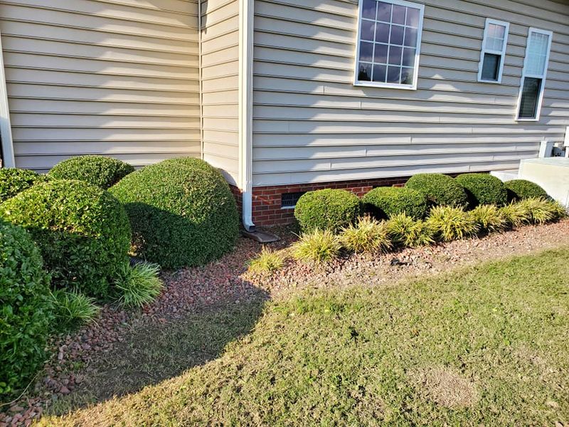 Landscaping