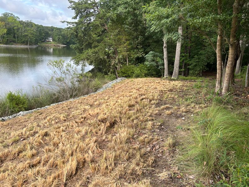 River Bank Clearing  gallery