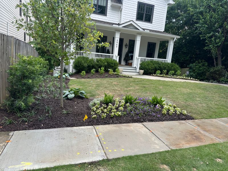 Landscape Design