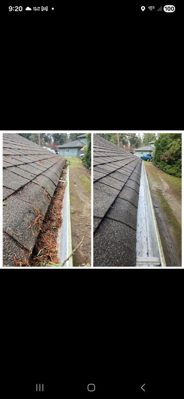 Gutter Cleaning