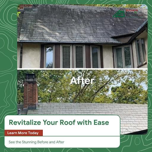 Asphalt Shingle Rejuvenation