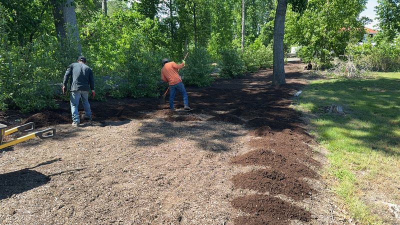 Custom Landscape Design 🌺