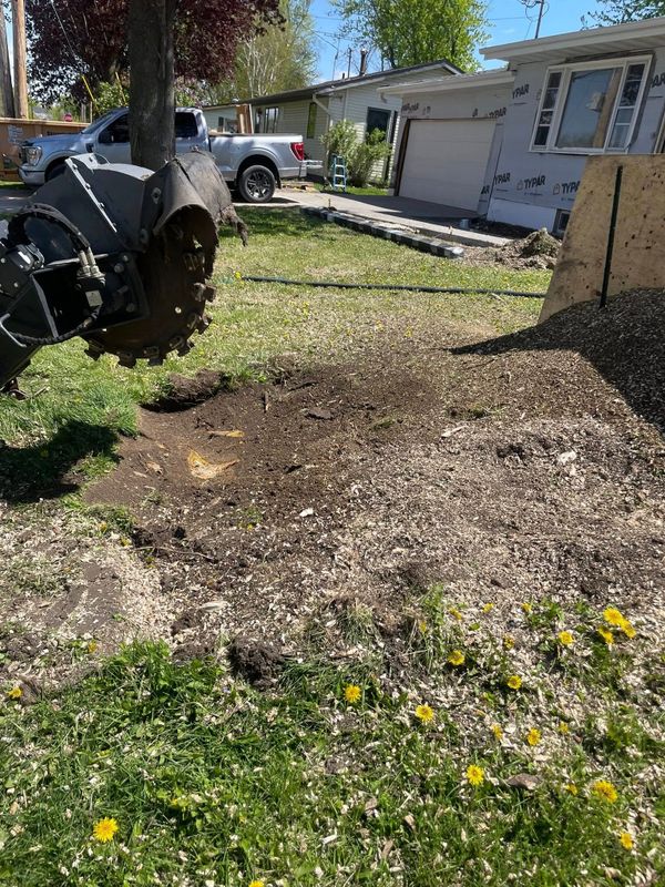 Stump Removal