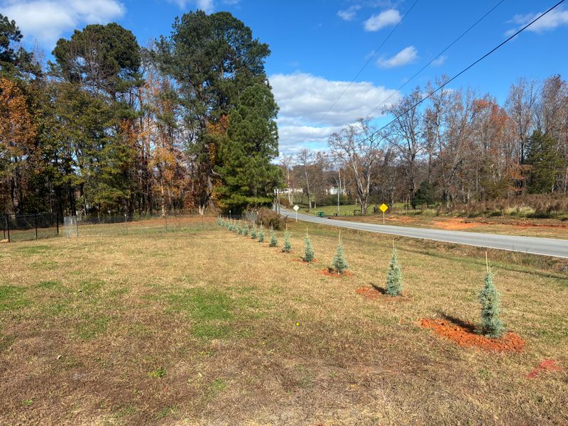 Tree & Shrub Care