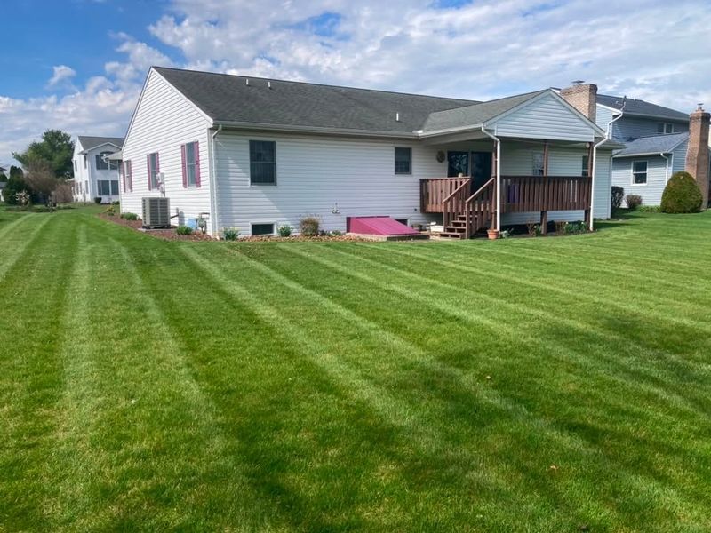 Lawn Maintenance