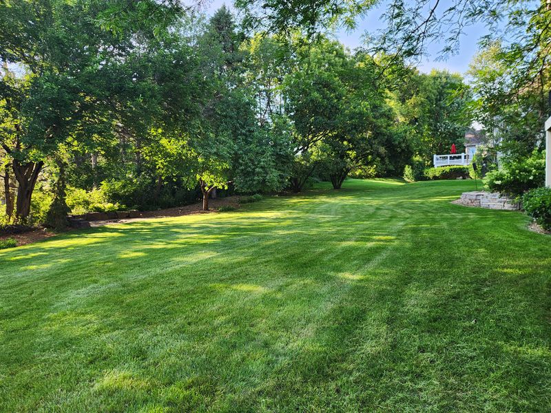 Mowing 